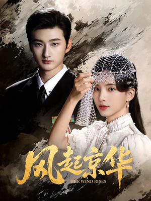 风Q京华（60集）上热门短剧