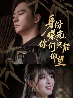 身份曝光，你们只能仰望（78集）全集下载