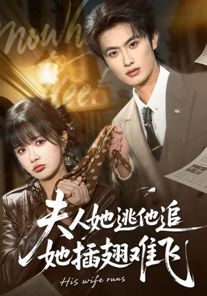 夫人她逃他追，她插翅难飞（101集）全部免费看全集