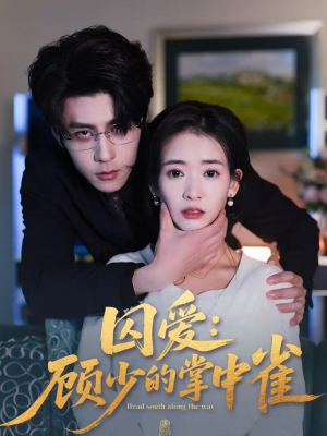 囚爱：顾少的掌中雀（70集）精彩短剧下载