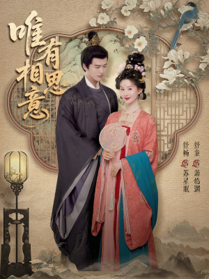 唯有相思意（100集）在哪看是免费的