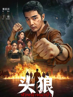 头狼（77集）全集免费