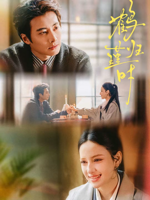 鹤归瑾时（81集）无需充值尽情看