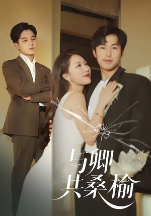 与卿共桑榆（63集）免费短剧全集看