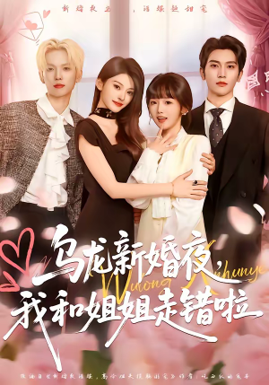 乌龙新婚夜，我和姐姐走错啦（59集）在哪看
