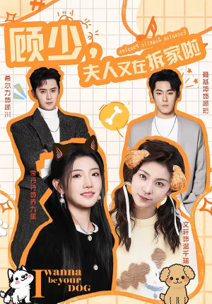 顾少,夫人又在拆家啦(78集) 顾少,夫人又在拆家啦(78集)网络小短剧