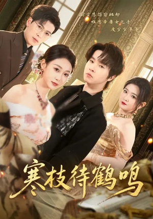 寒枝待鹤鸣（70集）热门短剧看不停
