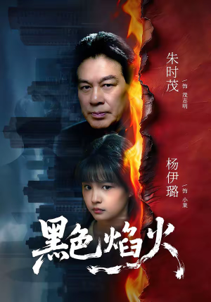 黑色焰火（41集）热门短剧排行榜