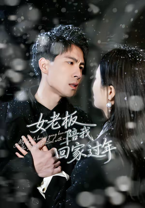 女老板陪我回家过年(40集) 女老板陪我回家过年(40集)超好看的短剧