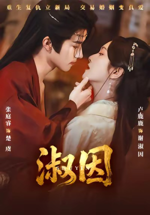 淑因（65集）我真的爱了