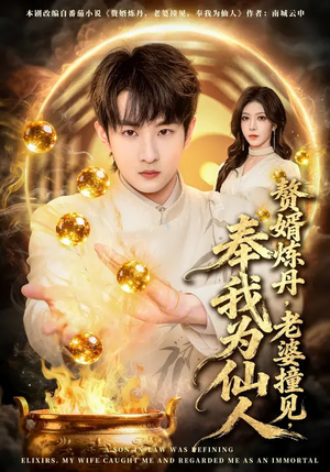 赘婿炼丹,老婆撞见,奉我为仙人(59集) 赘婿炼丹,老婆撞见,奉我为仙人(59集)最火爆的短剧