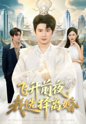 飞升前夜，我选择离婚（80集）番茄免费短剧