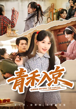 青禾入京（60集）短剧更新抢先看