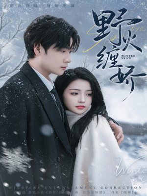 野火缠娇（66集）热门短剧抢先