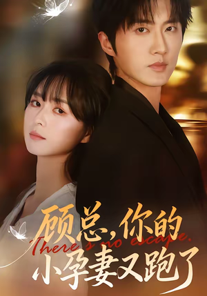 顾总，你的小孕妻又跑了（47集）短剧全集更精彩