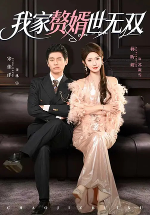 我家赘婿世无双（73集）演员表