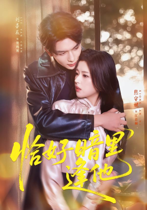 恰好暗里逢他（66集）去哪里看