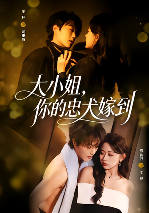 大小姐，你的忠犬嫁到（80集）短剧也太好看了