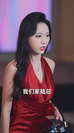 沉沉暮色向林晚(60集) 沉沉暮色向林晚(60集)在线播放