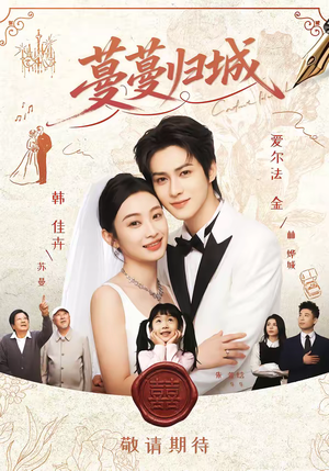 蔓蔓归城（81集）一共多少集