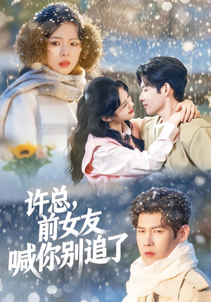 许总,前女友喊你别追了(80集) 许总,前女友喊你别追了(80集)在线播放