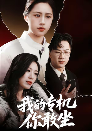 我的专机你敢坐（62集）每日短剧推荐