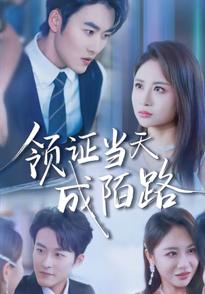 领证当天成陌路（39集）最火爆的短剧