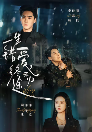 一生错爱,终无归途(74集) 一生错爱,终无归途(74集)热播短剧重燃