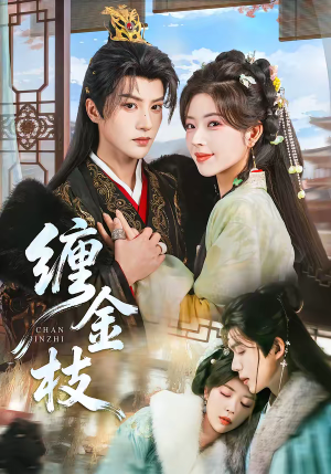 缠金枝（69集）哪个短剧网能看
