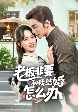 老板非要和我结婚怎么办(50集) 老板非要和我结婚怎么办(50集)火爆短剧来袭
