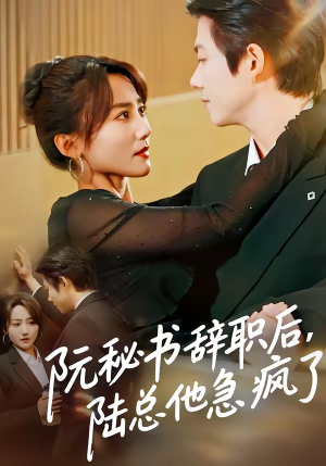 阮秘书辞职后，陆总他急疯了（80集）热门火爆短剧