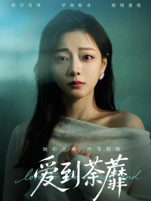 爱到荼蘼（63集）超甜短剧分享