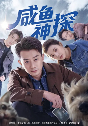 咸鱼神探（80集）在线看完整版
