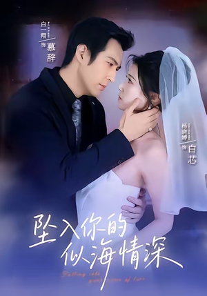坠入你的似海情深（67集）精彩短剧看不停