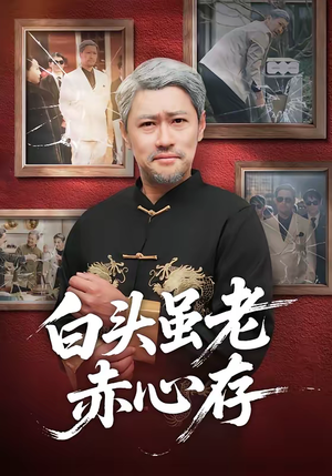 白头虽老赤心存（71集）精彩短剧分享