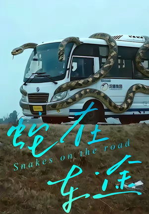 蛇在车途（34集）最热短剧抢先看
