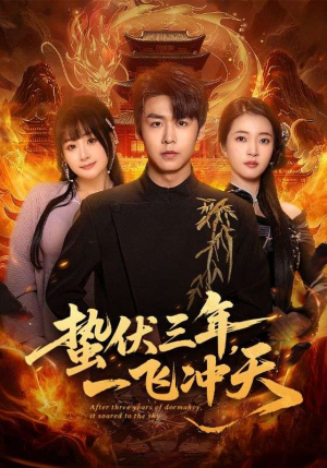 蛰伏三年，一飞冲天（60集）第一季