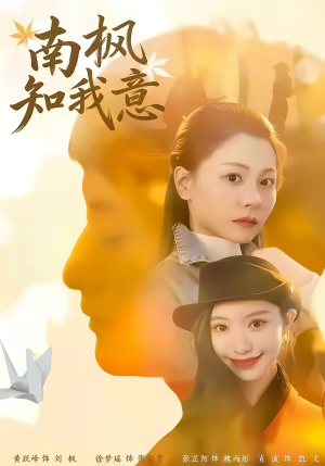 南枫知我意（41集）在哪里可以看