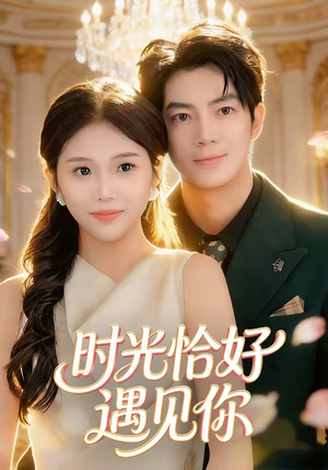 时光恰好遇见你（80集）在哪个平台看