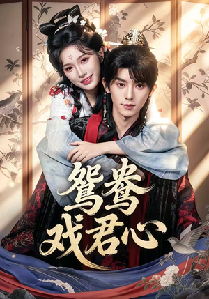 鸳鸯戏君心（60集）红果免费短剧