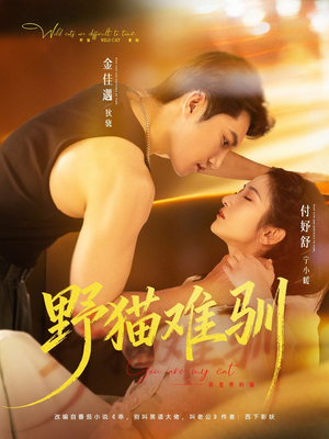野猫难驯（73集）热门短剧分享