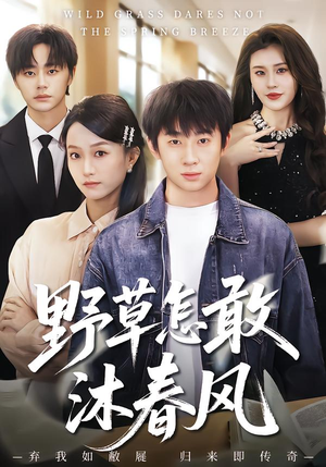 野草怎敢沐春风（61集）免费短剧完整版