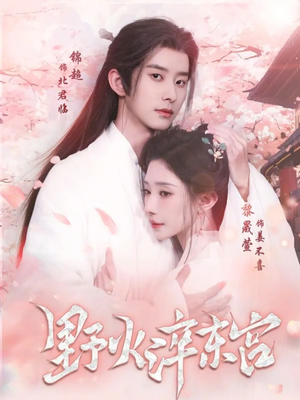 野火淬东宫（76集）在线看到大结局