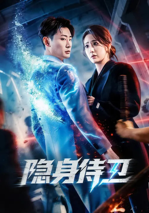 隐身侍卫（80集）在哪个平台看好