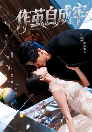 作茧自成牢(52集) 作茧自成牢(52集)简直不要太好看