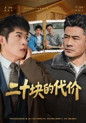 二十块的代价（64集）短剧在线看