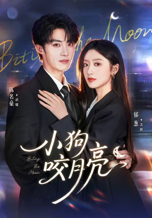 小狗咬月亮（66集）看到了大结局