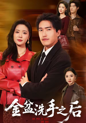 金盆洗手之后（62集）全集免费观看