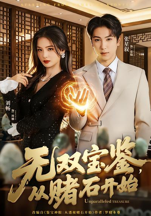 无双宝鉴，从赌石开始（70集）第二季