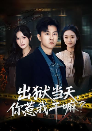 出狱当天，你惹我干嘛？（62集）爆火短剧推荐